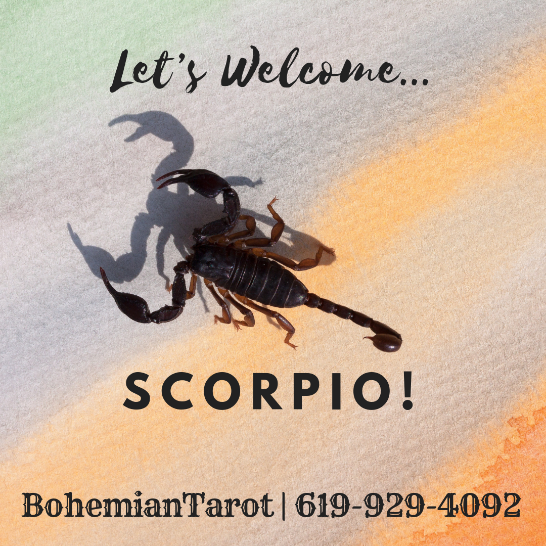 Scorpio, Scorpion, Scorpio Season